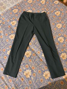 Green Straight Leg Pants