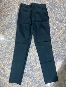 Massimo Dutti Bottle Green Pants