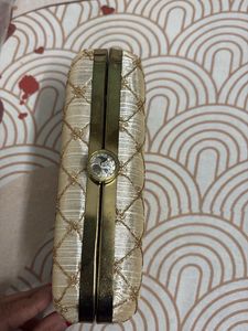 Elegant Women Clutch