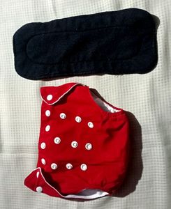 Reusable Diaper With Pad