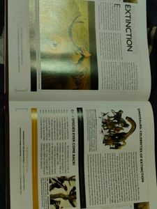 National Geographic Answer Book Encyclopedia.