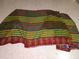 Striped Sari with Embellishments