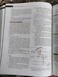 Textbook of Physiology - A.K. Jain, Vol. II