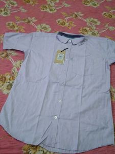 Mens Shirt