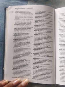 Little Oxford Dictionary