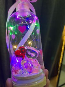 Adorable Bear Couple Dome Light