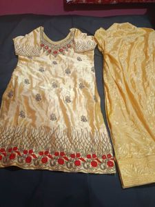 Elegant  stylish party wear suit salwar set