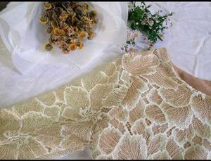 Elegant Lace Dress