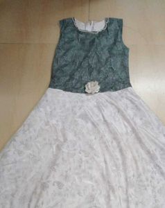 Elegant Lace Dress