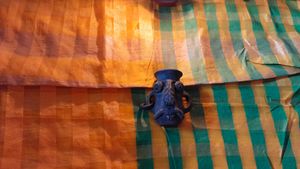 Beautiful Aristocrat Green And Yellow Combination Saree