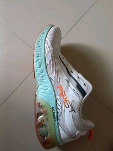 NEW CAMPUS SHOES