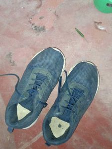 Navy Blue Mesh Sneakers