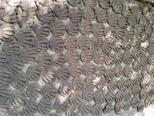 Cow Dung