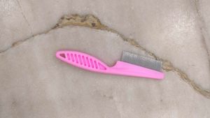 Cat /Dog Accessories