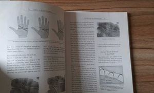 Book - Love In The Palm Of Your Hand