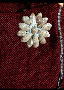 Floral Embroidered Maroon Saree