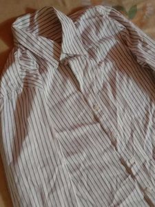 Striped Button-Down Shirt