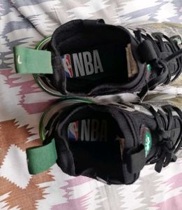 Adult Basketball Shoes Boston Celetics