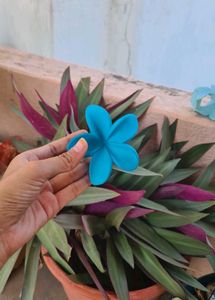 Matte Flower Claw Clip