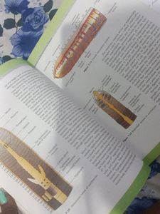 Class 11th And 12th Ncert Biology Book