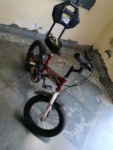 BSA Roamer Kids Bicycle