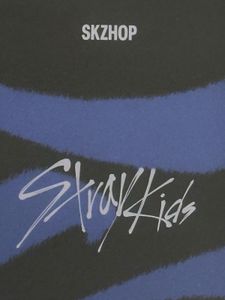 Stray Kids SKZ HOP Duo Photocard