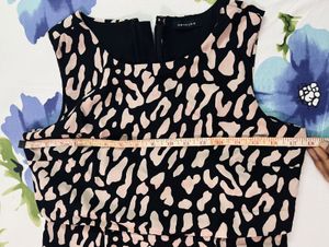 Animal Print Nude Pink and Black Dress