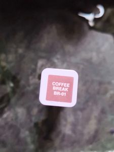 Zudio Lip matte - Nude Shade