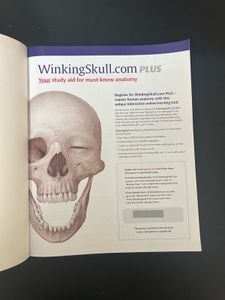 Atlas Of Anatomy