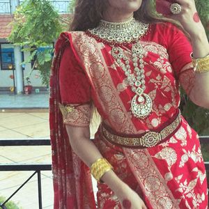 Elegant Red Saree Asopalav Banarasi Pure Handmade