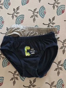 Cute Dinosaur Boys' Briefs - 2 Pack
