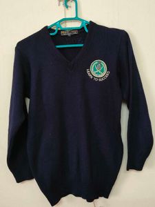 Navy V-Neck School Sweater