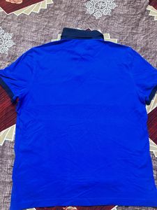 Original Branded Tommy Hilfiger Collar T-shirt