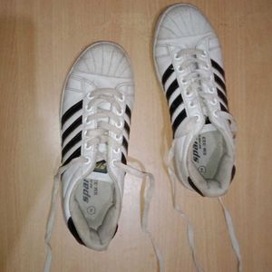 Sparx White Sneakers