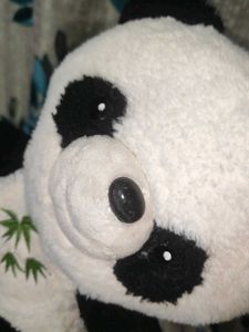 Panda Plushie