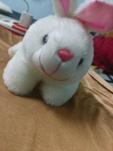 Rabbit Pluffy