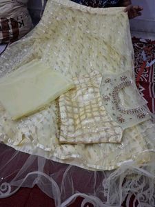 Elegant Lehenga Choli Set
