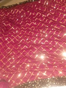 Burgundy Sequin Embellish  Saree
