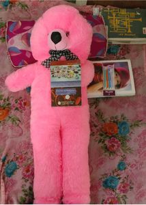 Pink Teddy Bear 4.Feet
