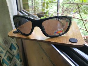Imported Polaroid Sunglasses