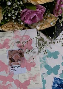 BUTTERFLY CARDS