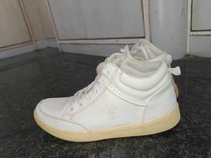 Orignal Us polo White Sneakers