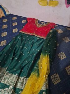 Embroidered Lehenga Choli Set
