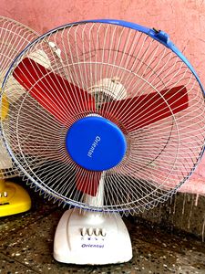 Table Fans Combo🤗