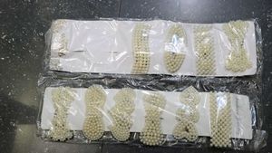 Pearl Hair Clips 10pcs