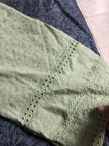 Chickankari Plazzo Pista Colour