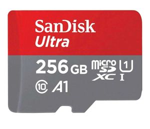 256 GB MICROSD CARD