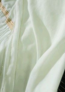 Pastel Green Heavy Embroidered Partywear Dress wit