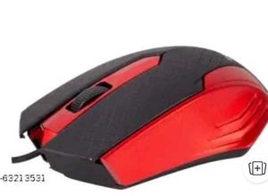 Mouse