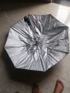 Nice Umbrella